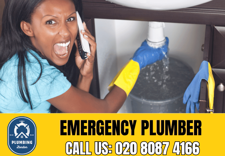 emergency plumber Bermondsey