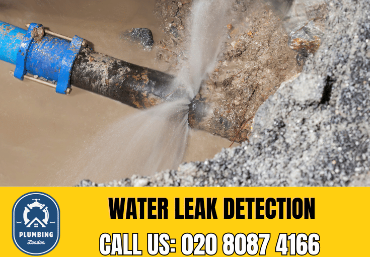 leak detection Bermondsey