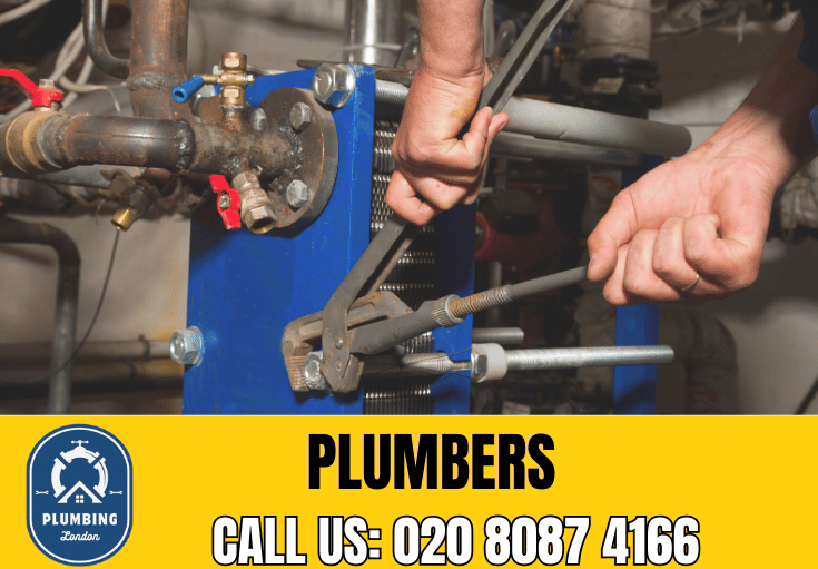  plumber Bermondsey Spa